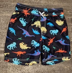 Toddler Boy Swim Trunks